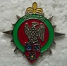 602RCR PINS-2.jpg