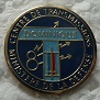 8RTDOMI PINS-2.jpg