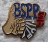 BSPPST PINS-2.jpg