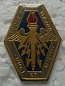 ECOLEM PINS-2.jpg