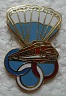 PARAMILI PINS-2.jpg